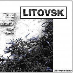 LITOVSK - Dispossessed Lp