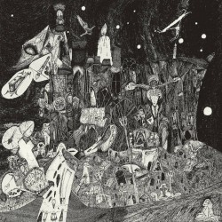 RUDIMENTARY PENI - Death Chruch LP