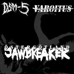 DMS-5 / VAROITUS - Split LP