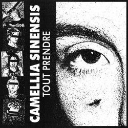 CAMELLIA SINENSIS - Tout prendre 7"